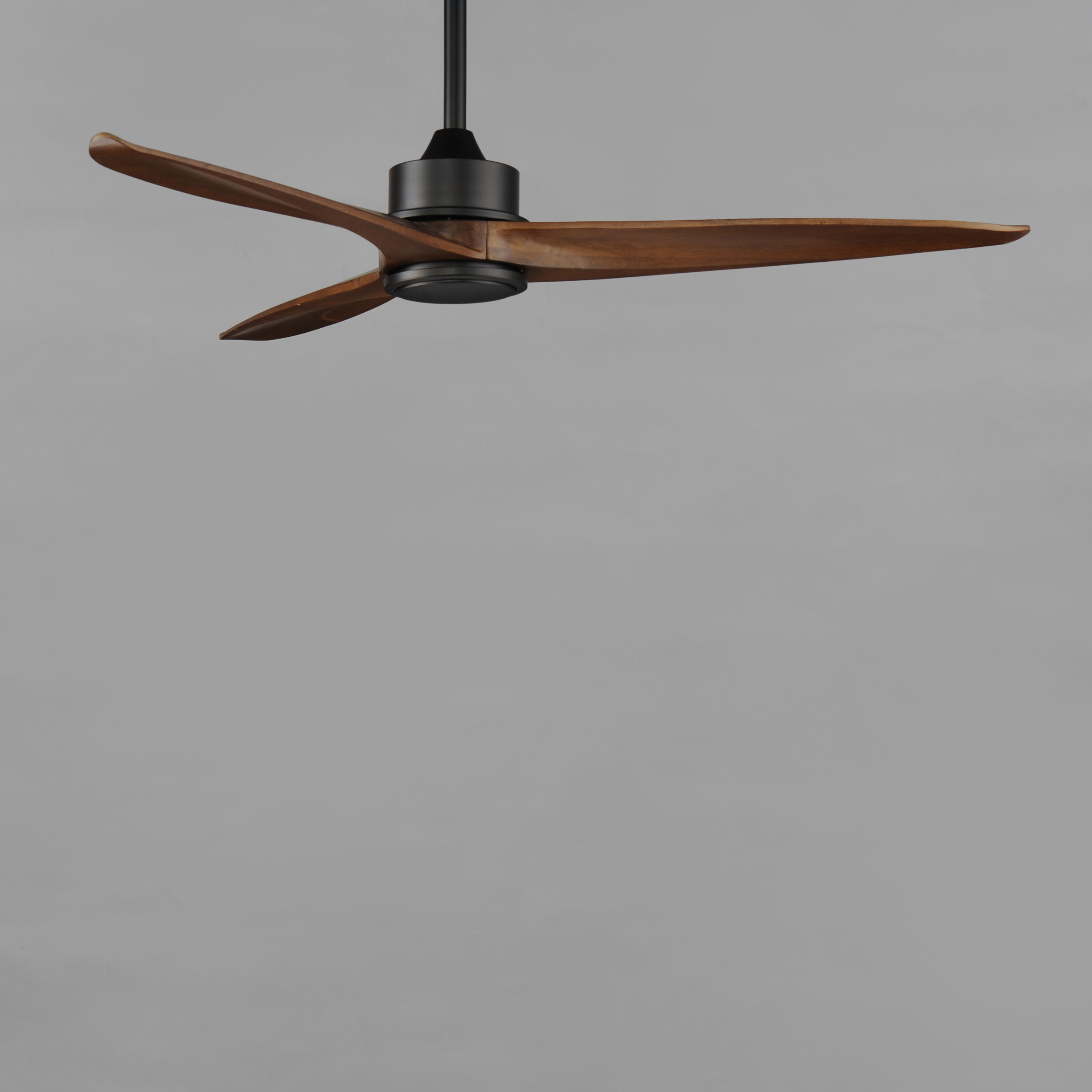 Woodwind 52 inch Black Indoor Ceiling Fan