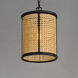 Cane 1 Light 10 inch Black Single Pendant Ceiling Light