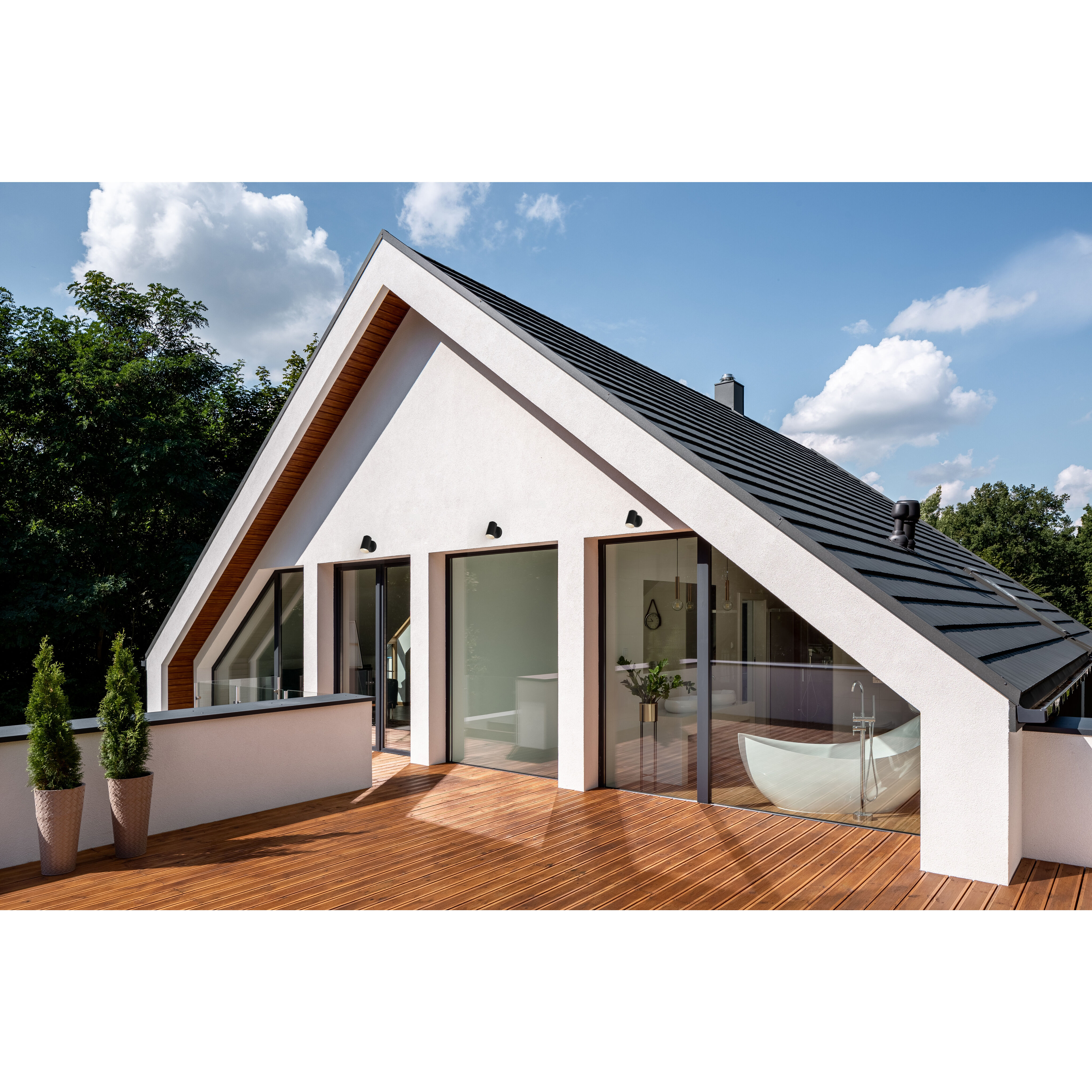 Spot Light LED 7 inch Black Outdoor Wall Mount