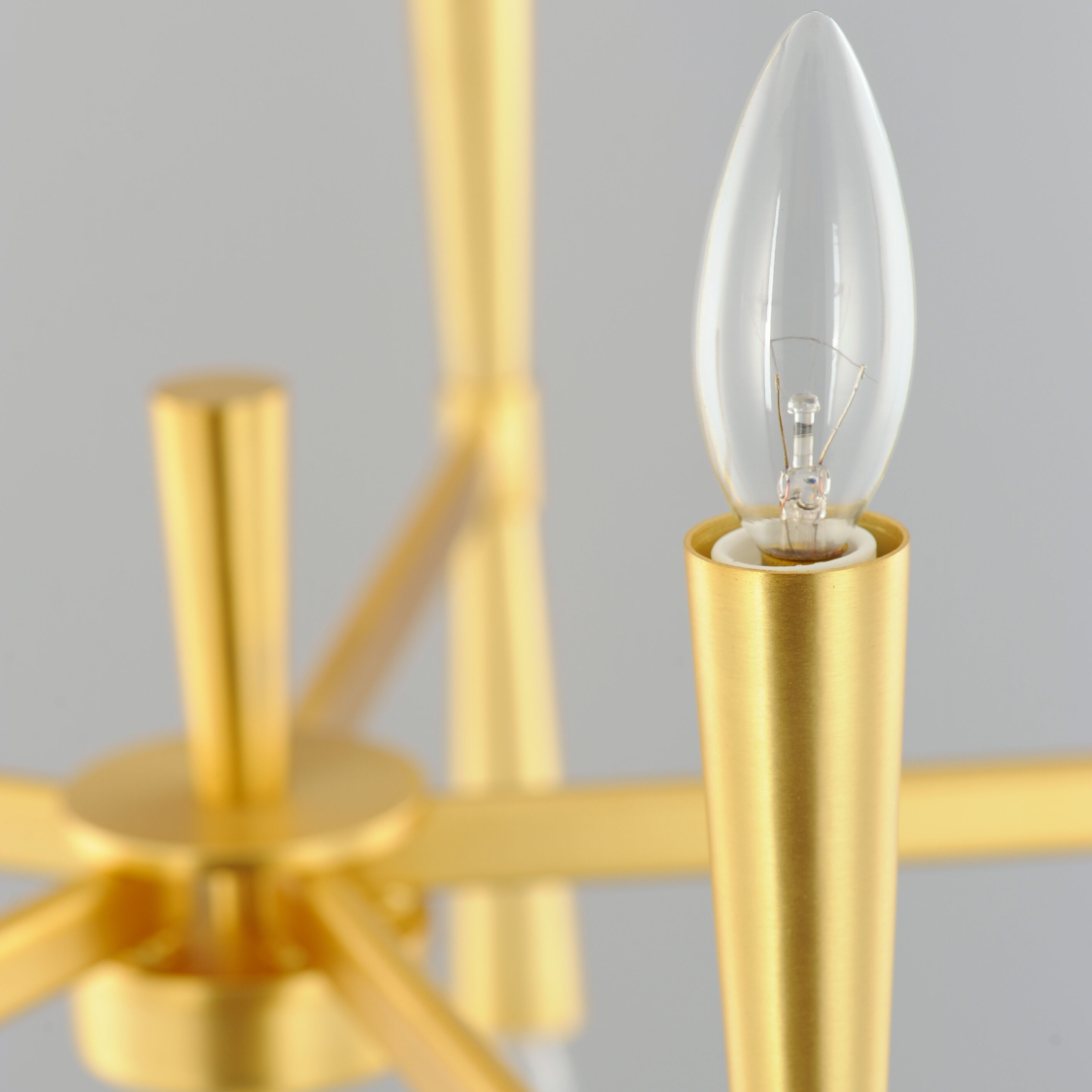 Rome 10 Light 24 inch Satin Brass Chandelier Ceiling Light