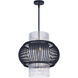 Aviary LED 21 inch Anthracite Single Pendant Ceiling Light