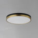Dapper LED 16 inch Black and Antique Brass Flush Mount Ceiling Light