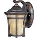 Balboa VX 1 Light 9.5 inch Copper Oxide Outdoor Wall Mount