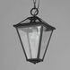 Prism 1 Light 9 inch Black Outdoor Pendant