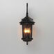 Dover DC 3 Light 24.5 inch Bronze Outdoor Wall Mount