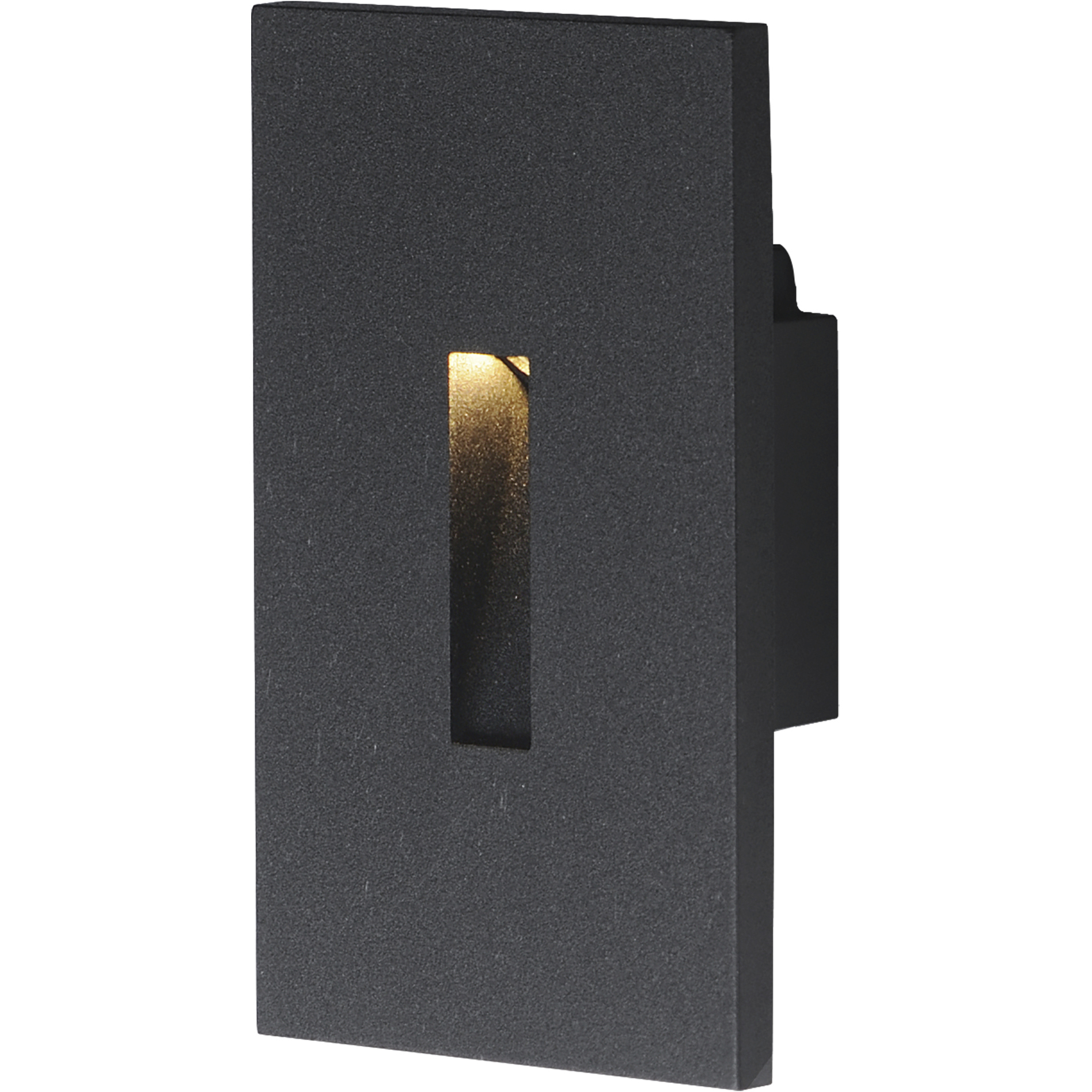 Path 120 3 watt Black Outdoor Pathway Light
