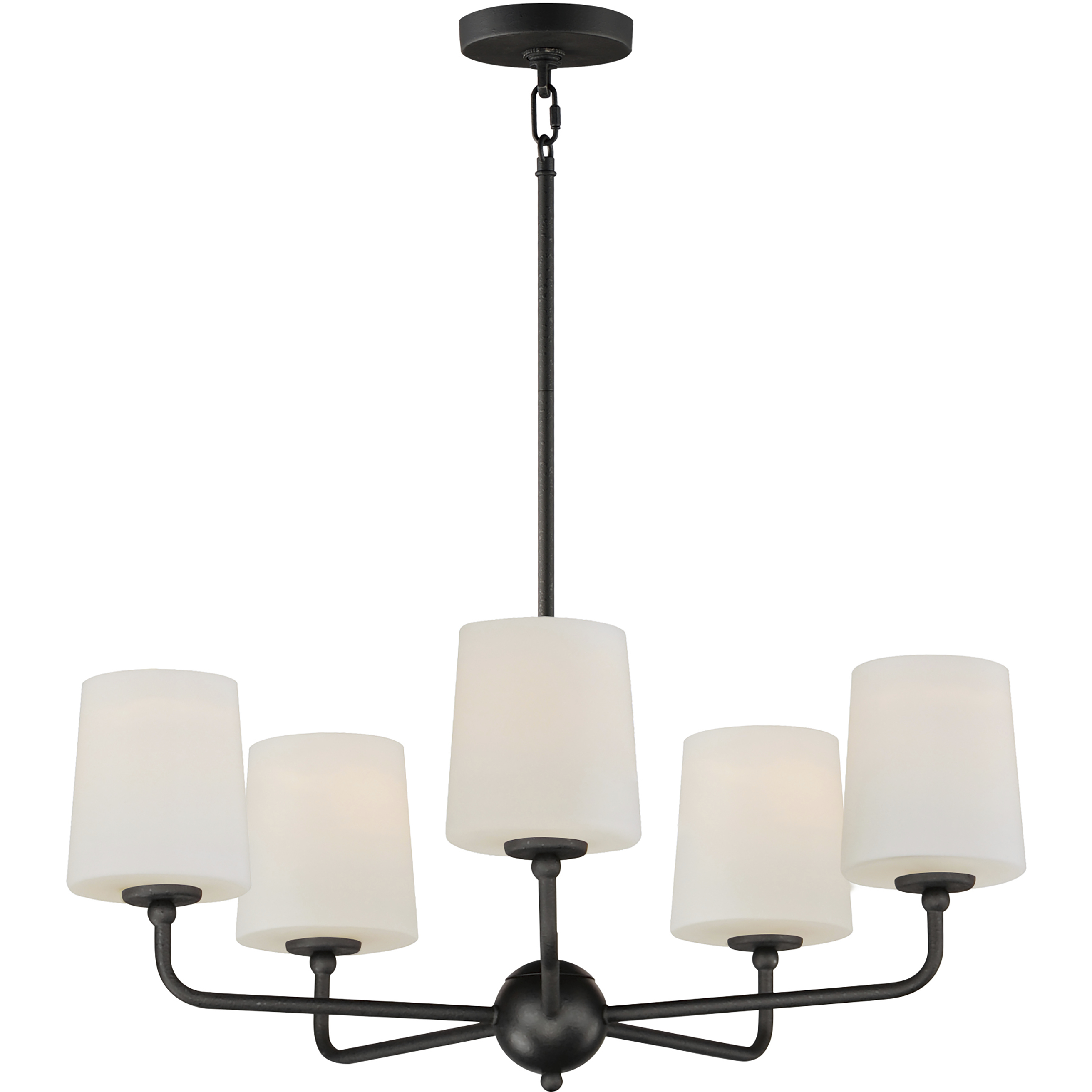 Bristol 5 Light 26.5 inch Anthracite Single-Tier Chandelier Ceiling Light