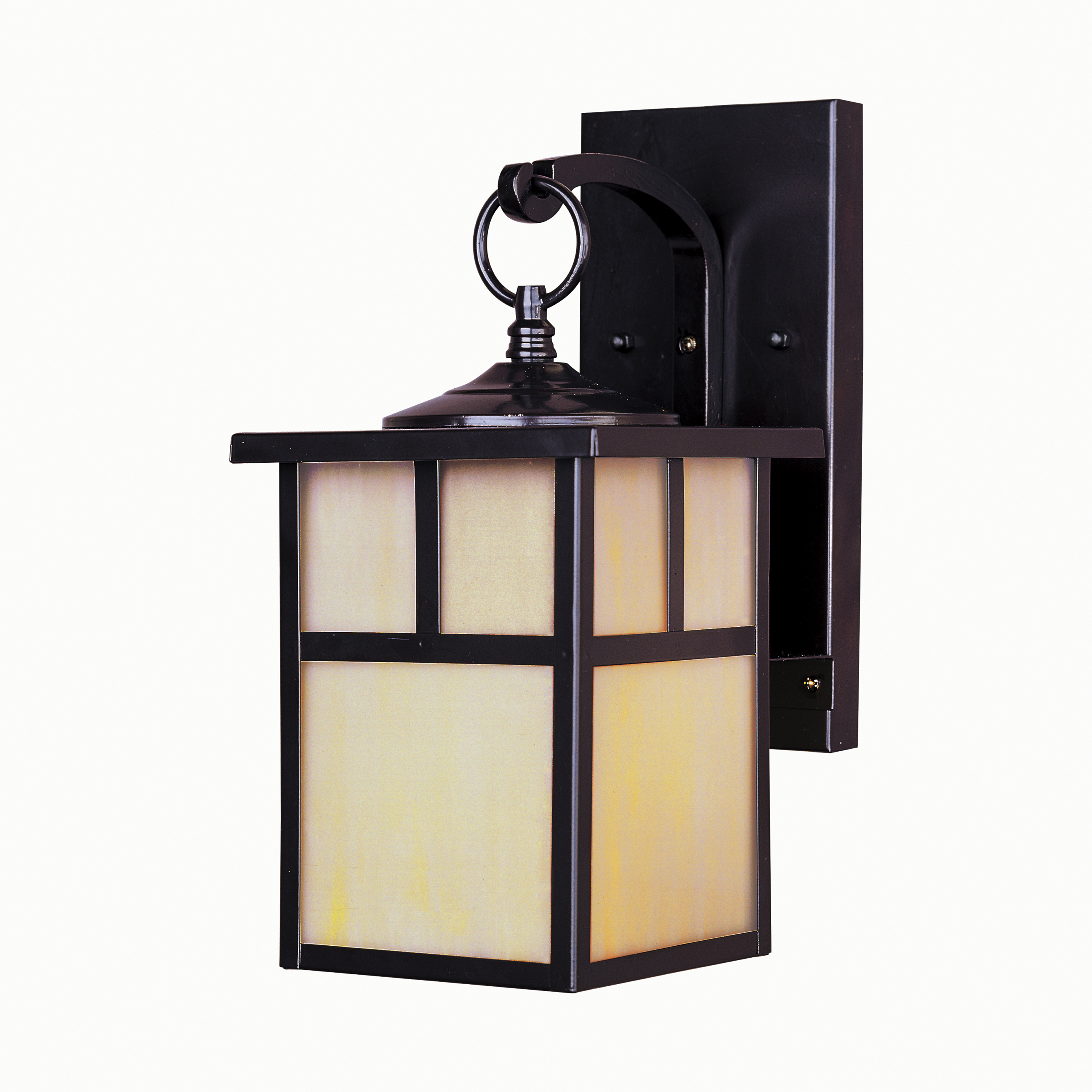 Coldwater 1 Light 12 inch Burnished Outdoor Wall Mount in Honey