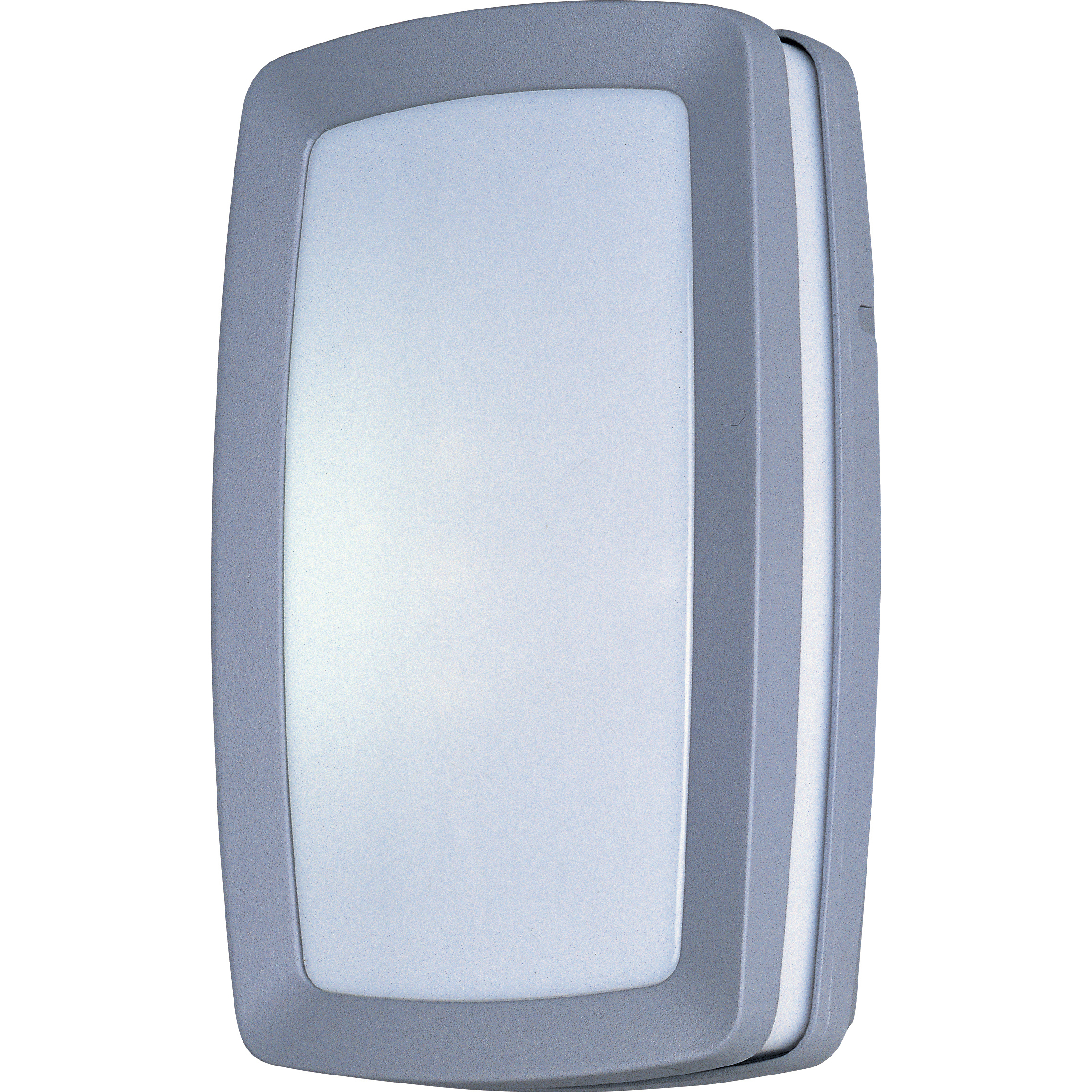 Zenith EE 2 Light 12 inch Platinum Outdoor Wall Mount