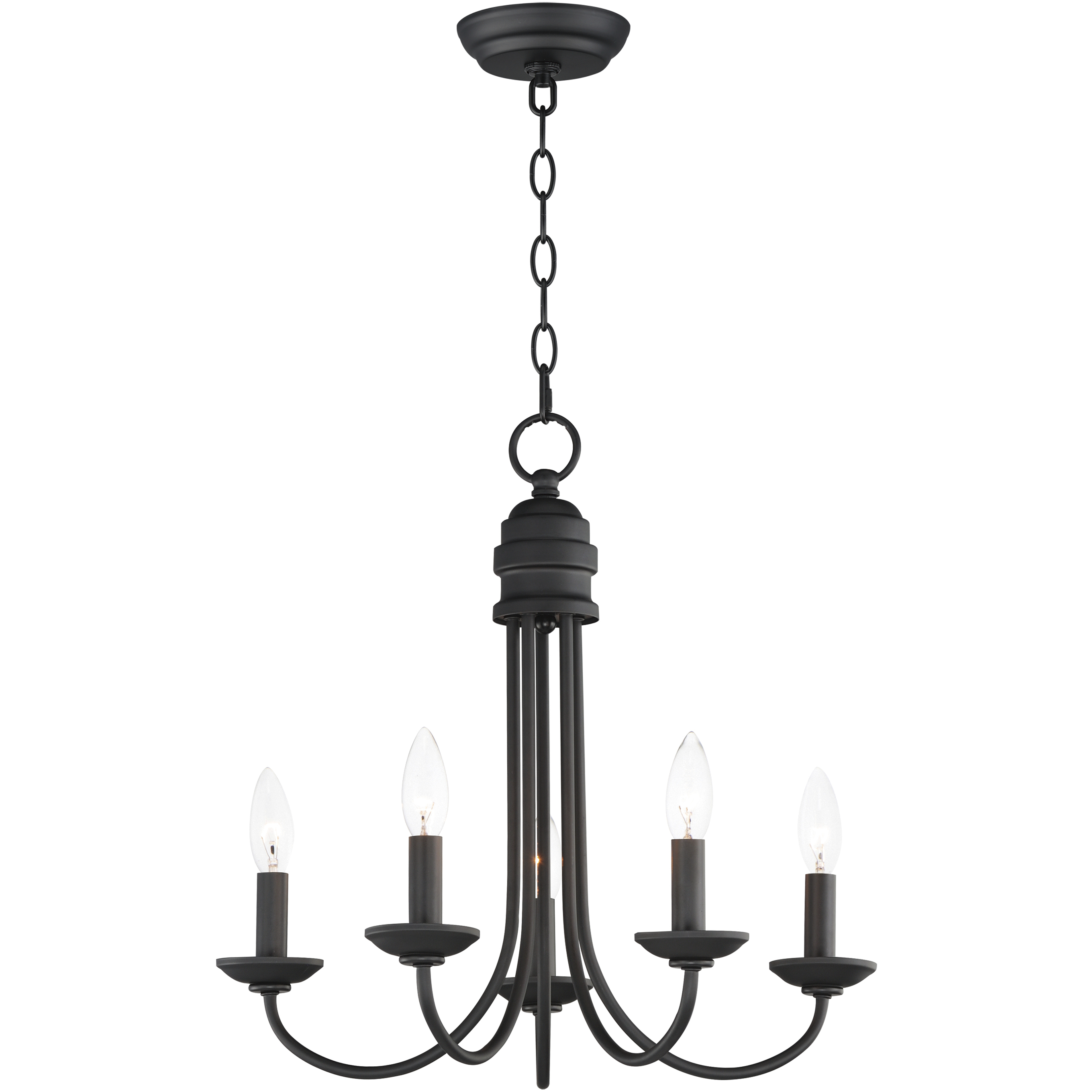 Logan 5 Light 21 inch Black Multi-Light Pendant Ceiling Light