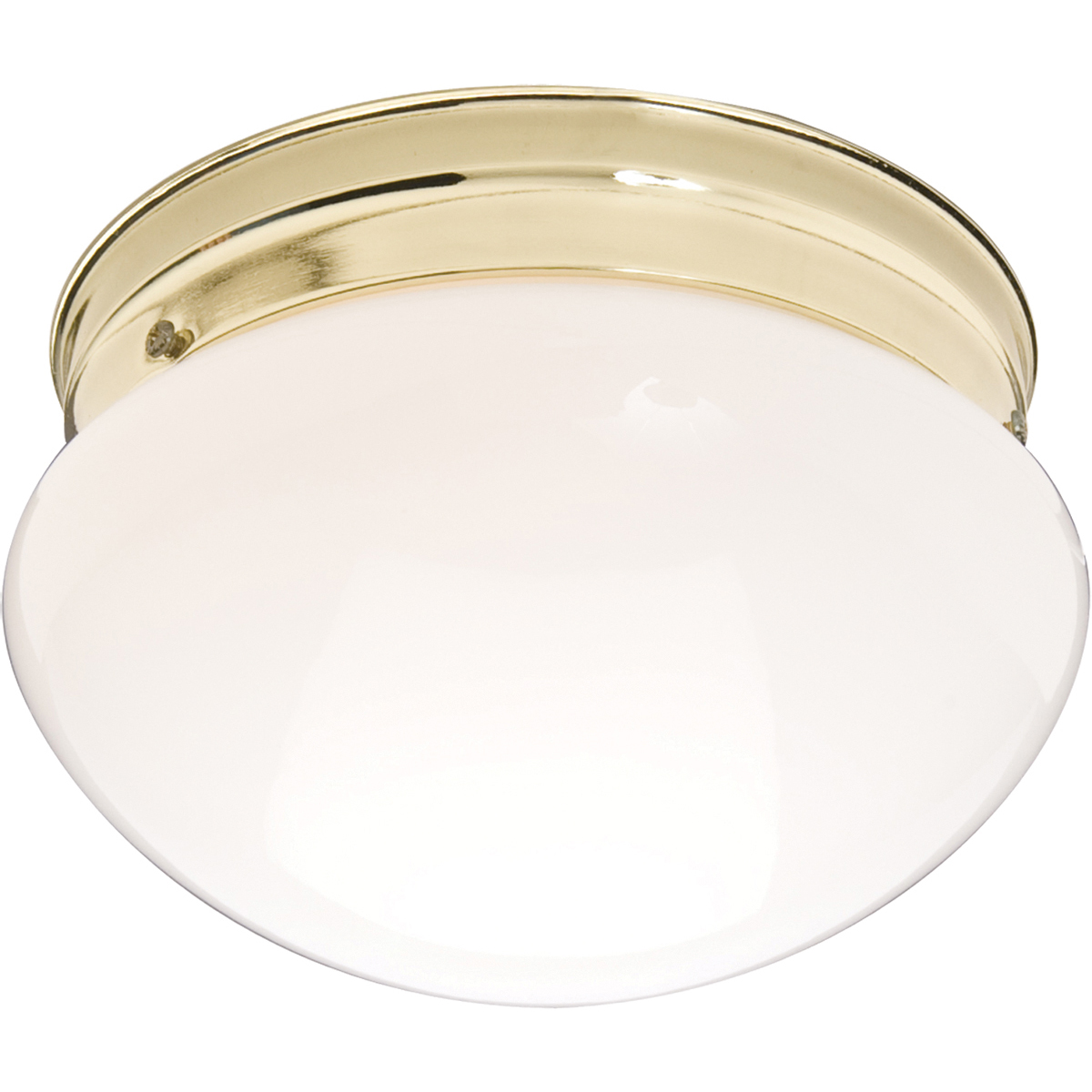 Essentials - 588x 2 Light 9 inch Polished Brass Flush Mount Ceiling Light