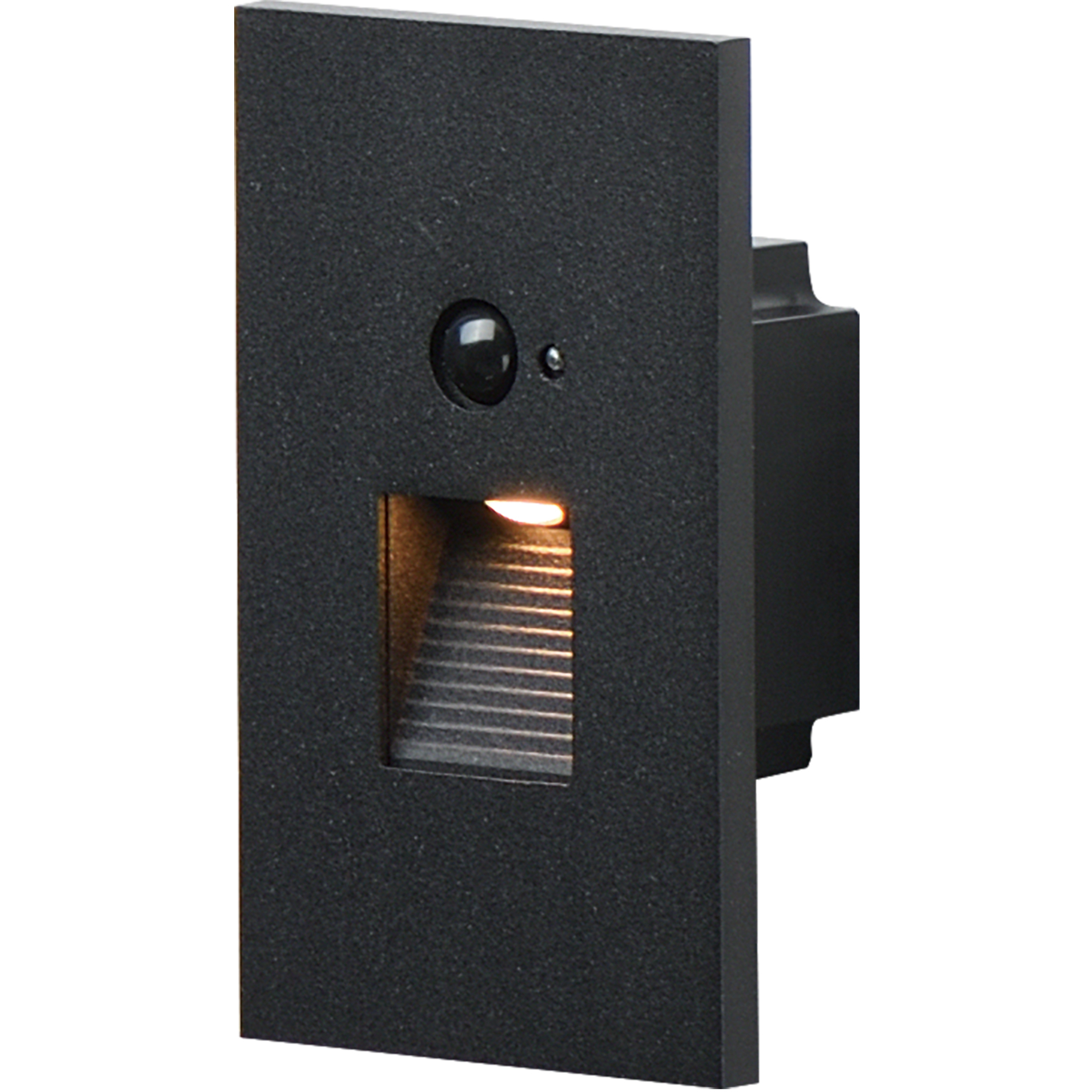 Path 120-277 3 watt Black Outdoor Pathway Light