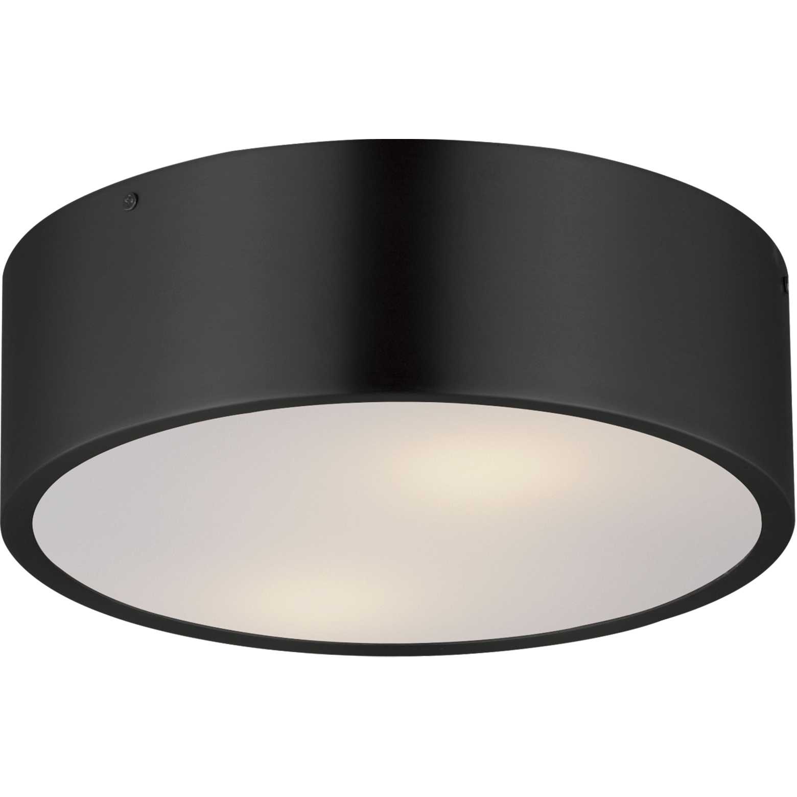 Tommy 2 Light 12 inch Black Flush Mount Ceiling Light