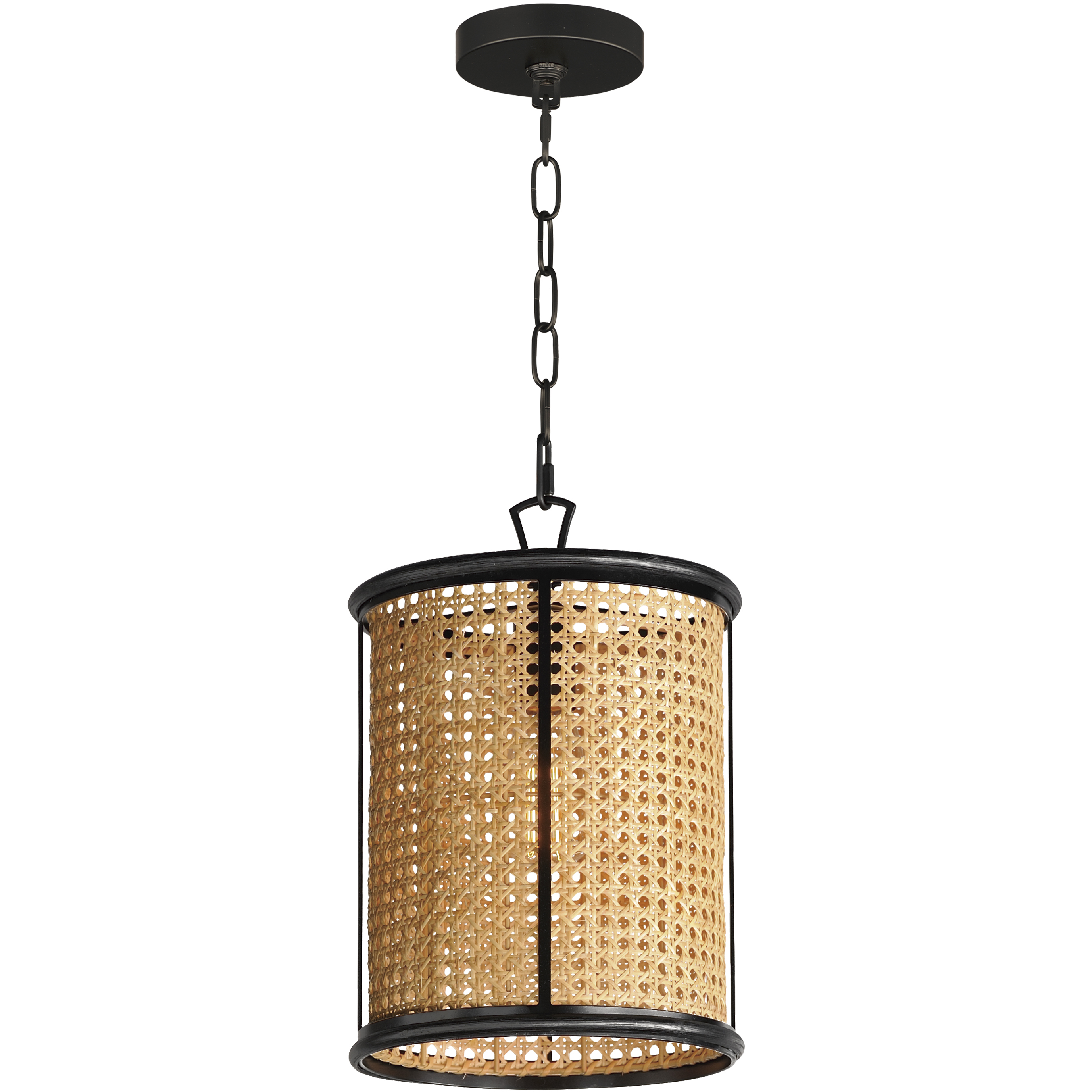 Cane 1 Light 10 inch Black Single Pendant Ceiling Light