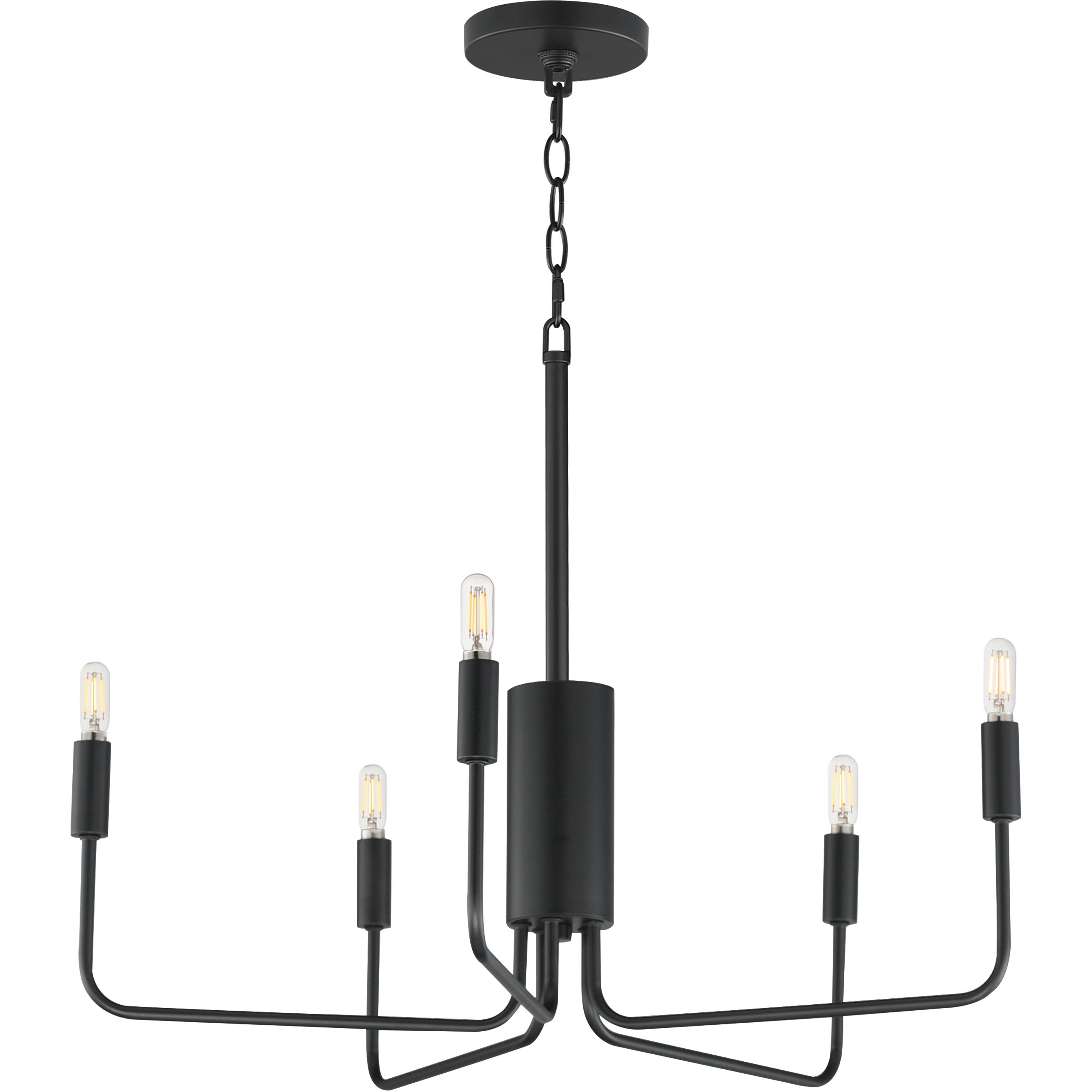 Abner 5 Light 24 inch Black Chandelier Ceiling Light