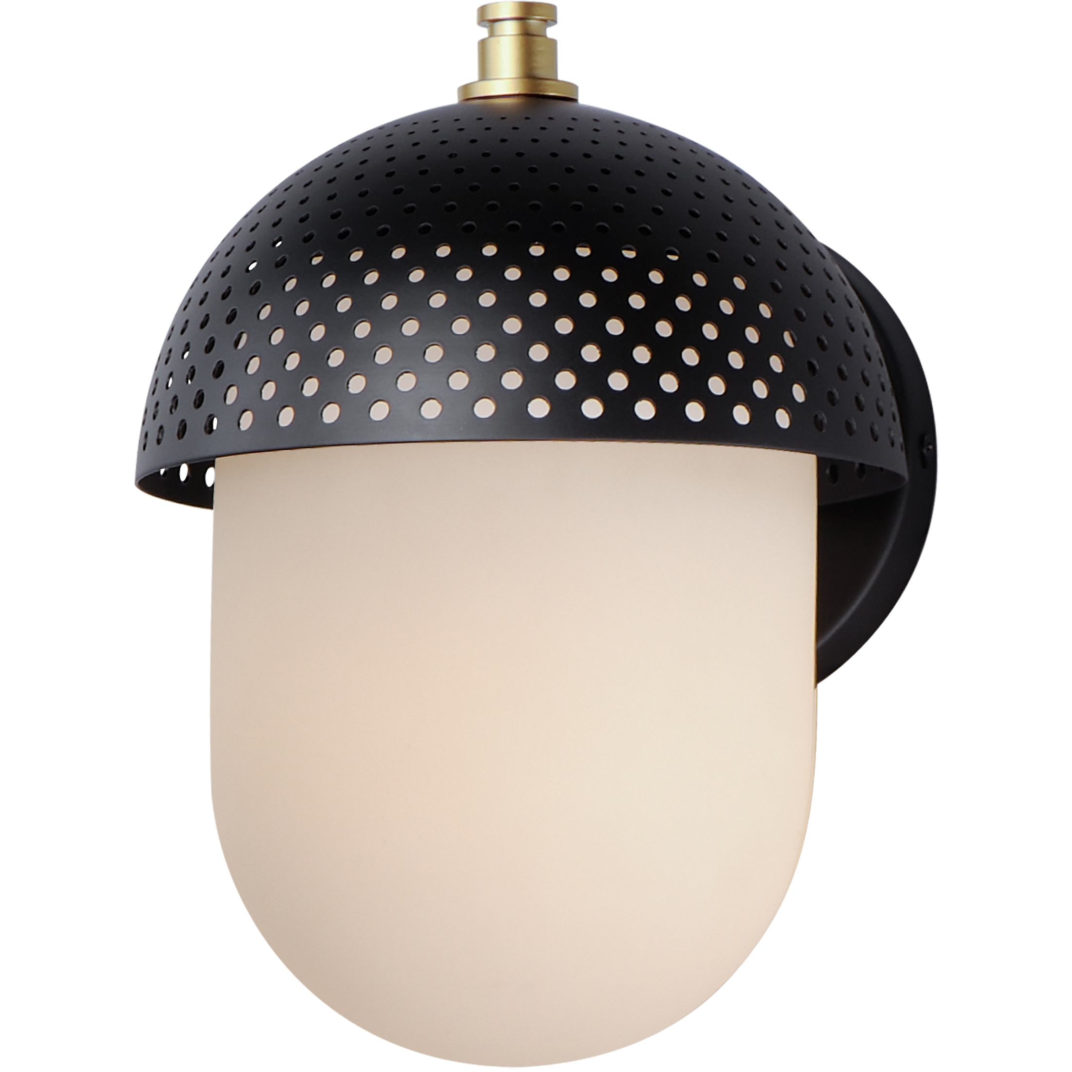 Perf Outdoor 1 Light 10.5 inch Black and Gold Outdoor Wall Mount
